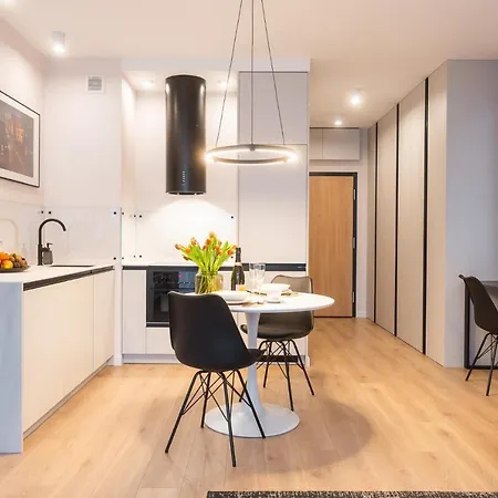 Apartment Manufaktura Modern Industrial